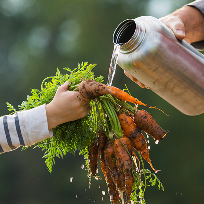 64oz-wide-with-loop-cap-t1 64oz_wide_mouth_bottle_carrots_rinse_square.jpg