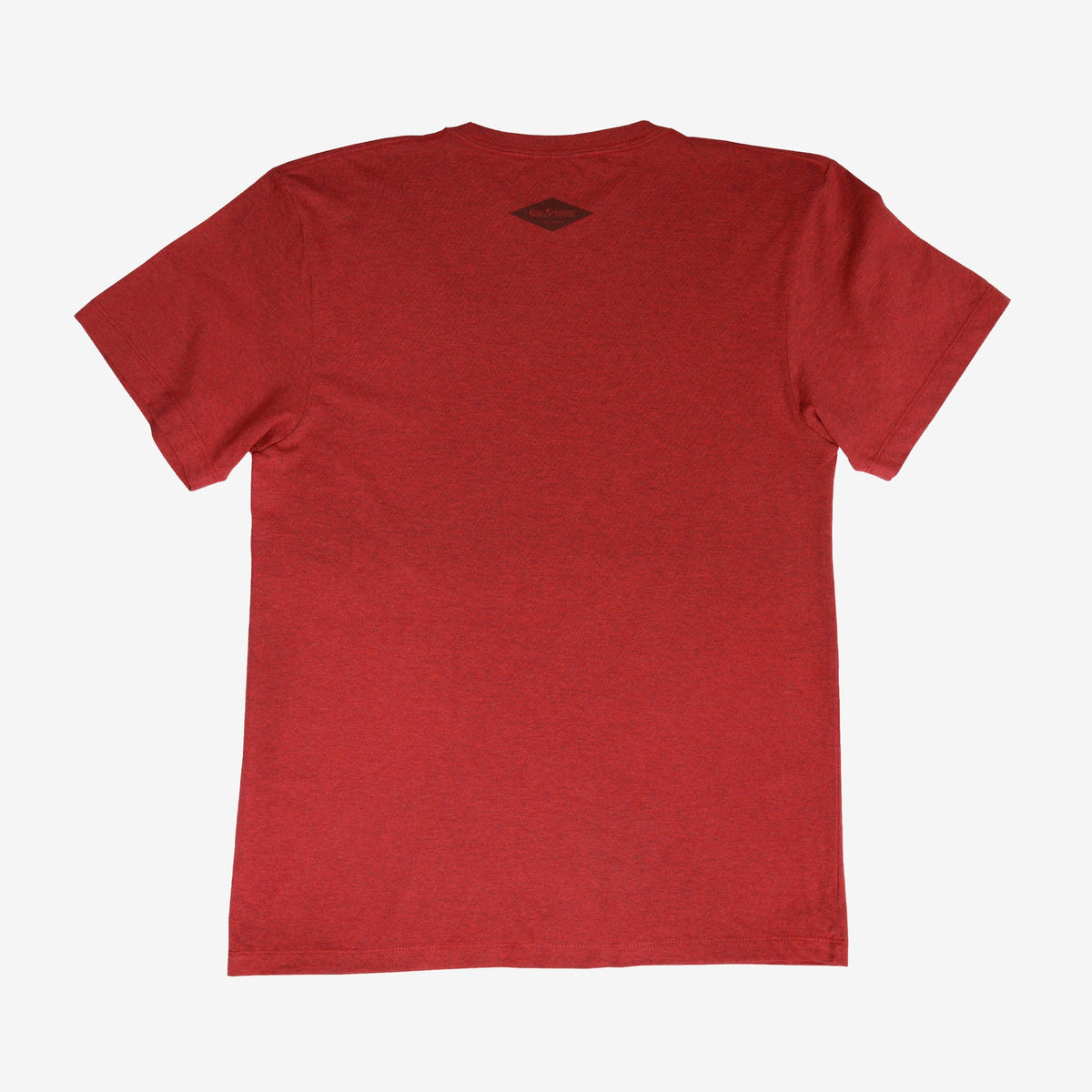 backyard-t-shirt-e8 Shirt_Mtn_Back.jpg